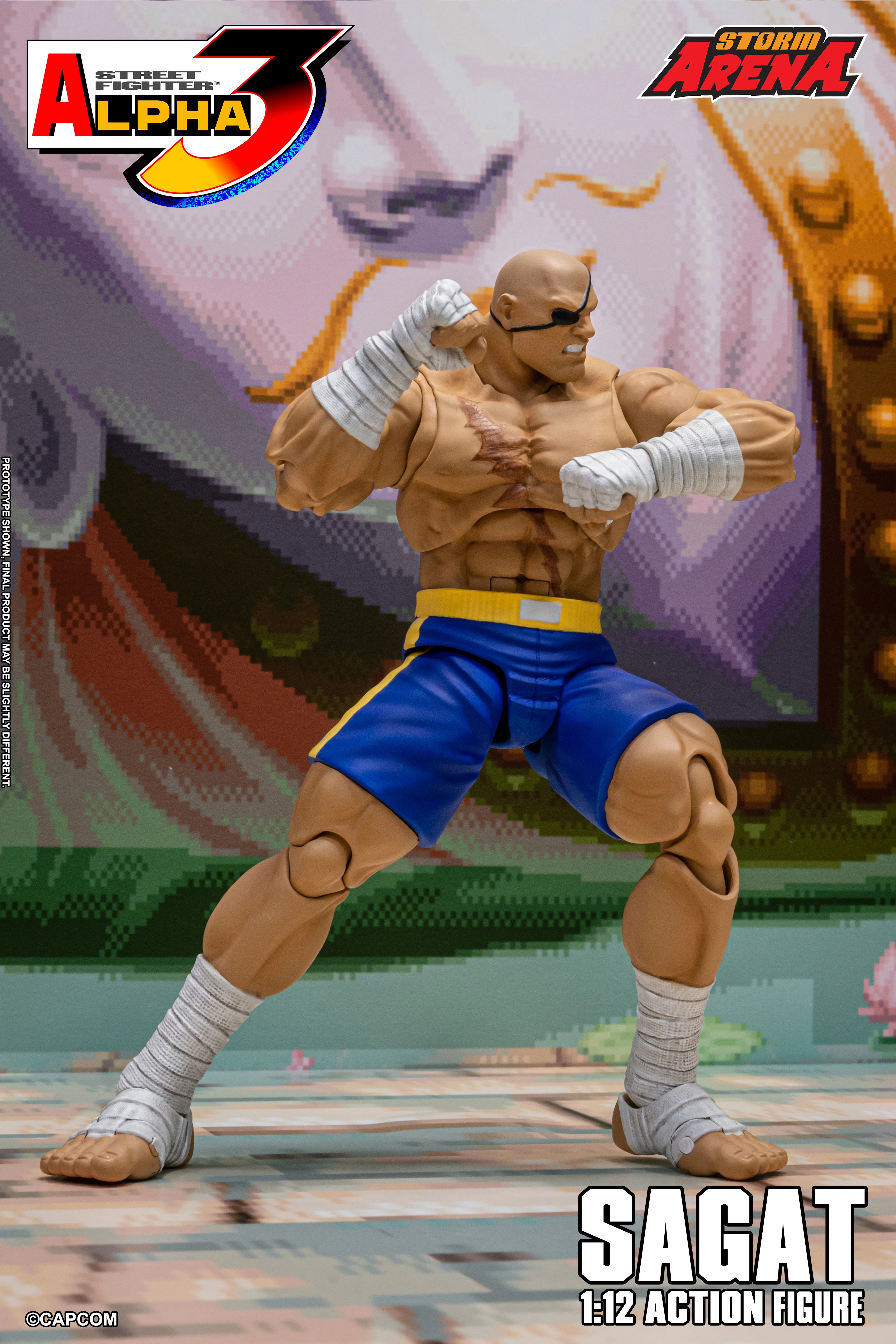 SAGAT - Street Fighter Alpha 3 "STORM ARENA" 1/12 SCALE - Image 10