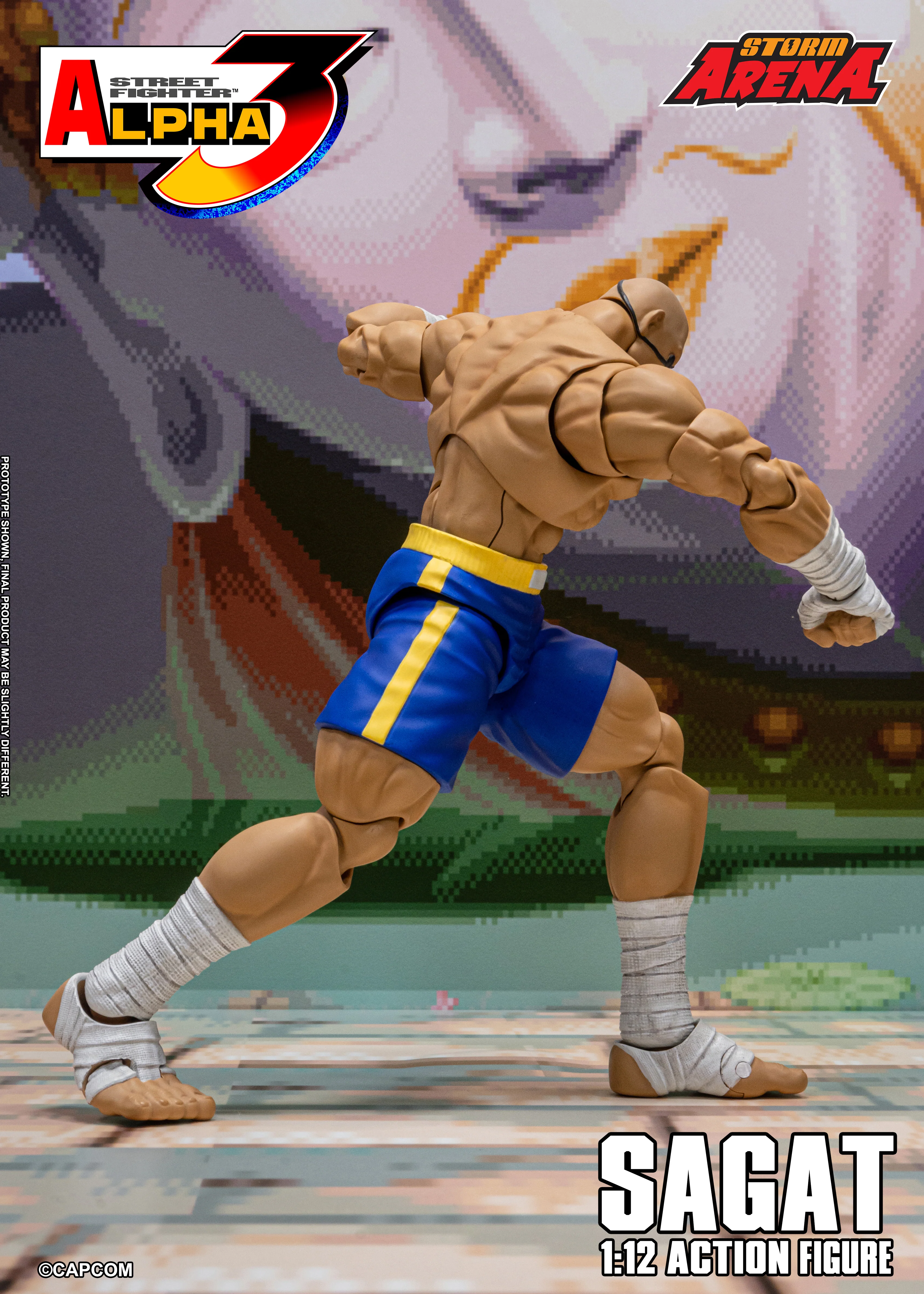 SAGAT - Street Fighter Alpha 3 "STORM ARENA" 1/12 SCALE - Image 11