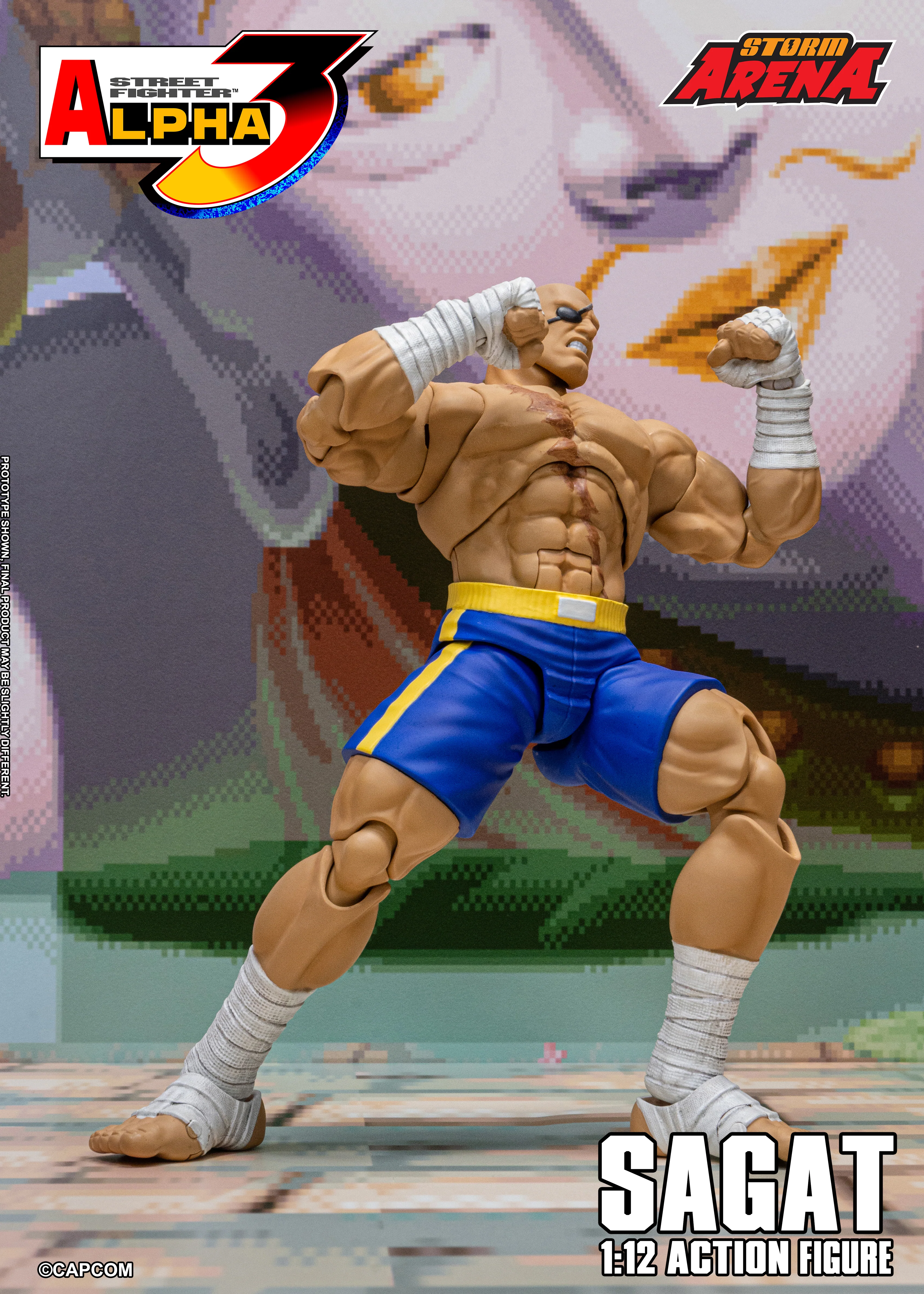 SAGAT - Street Fighter Alpha 3 "STORM ARENA" 1/12 SCALE - Image 12