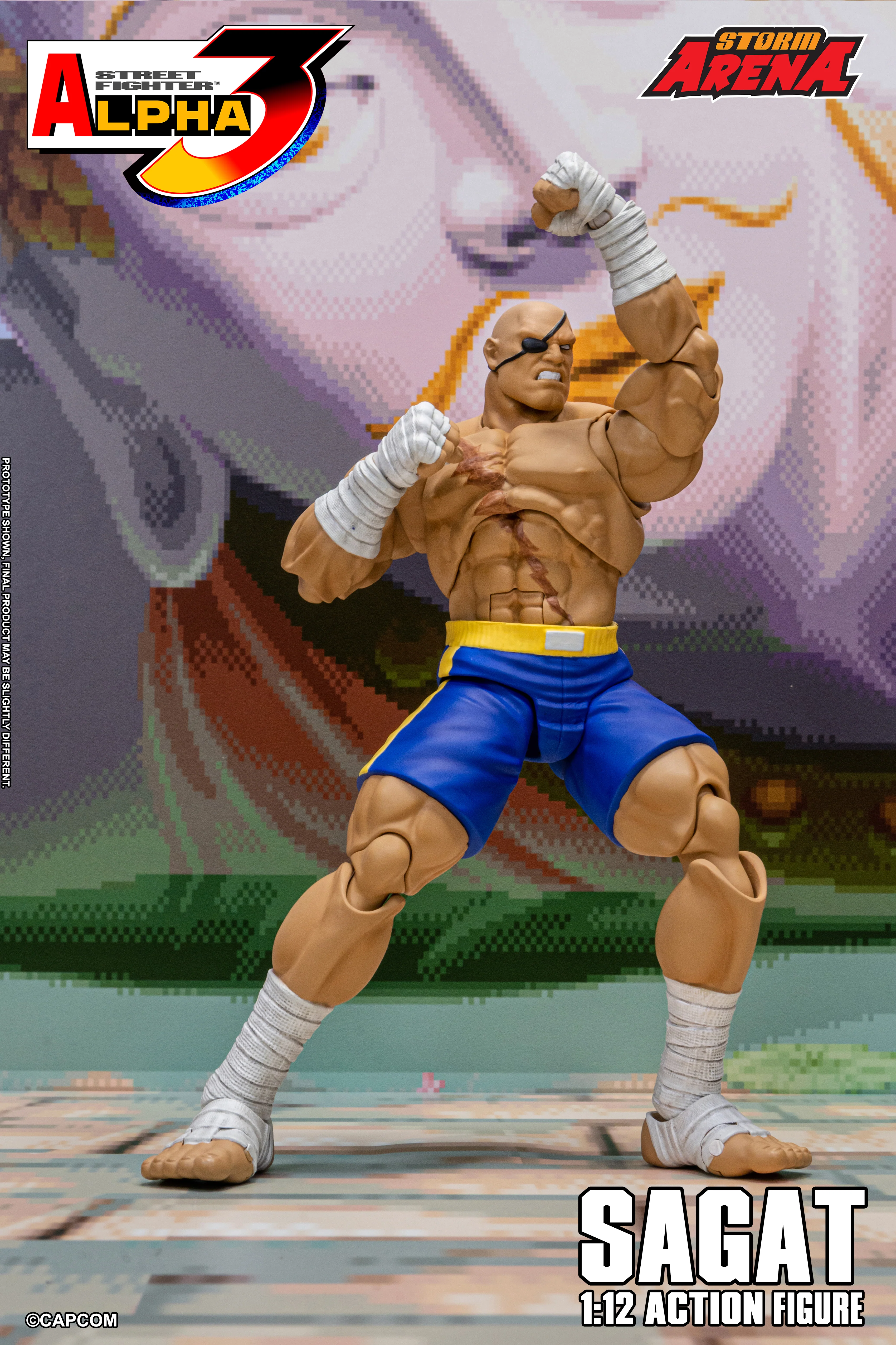 SAGAT - Street Fighter Alpha 3 "STORM ARENA" 1/12 SCALE - Image 13