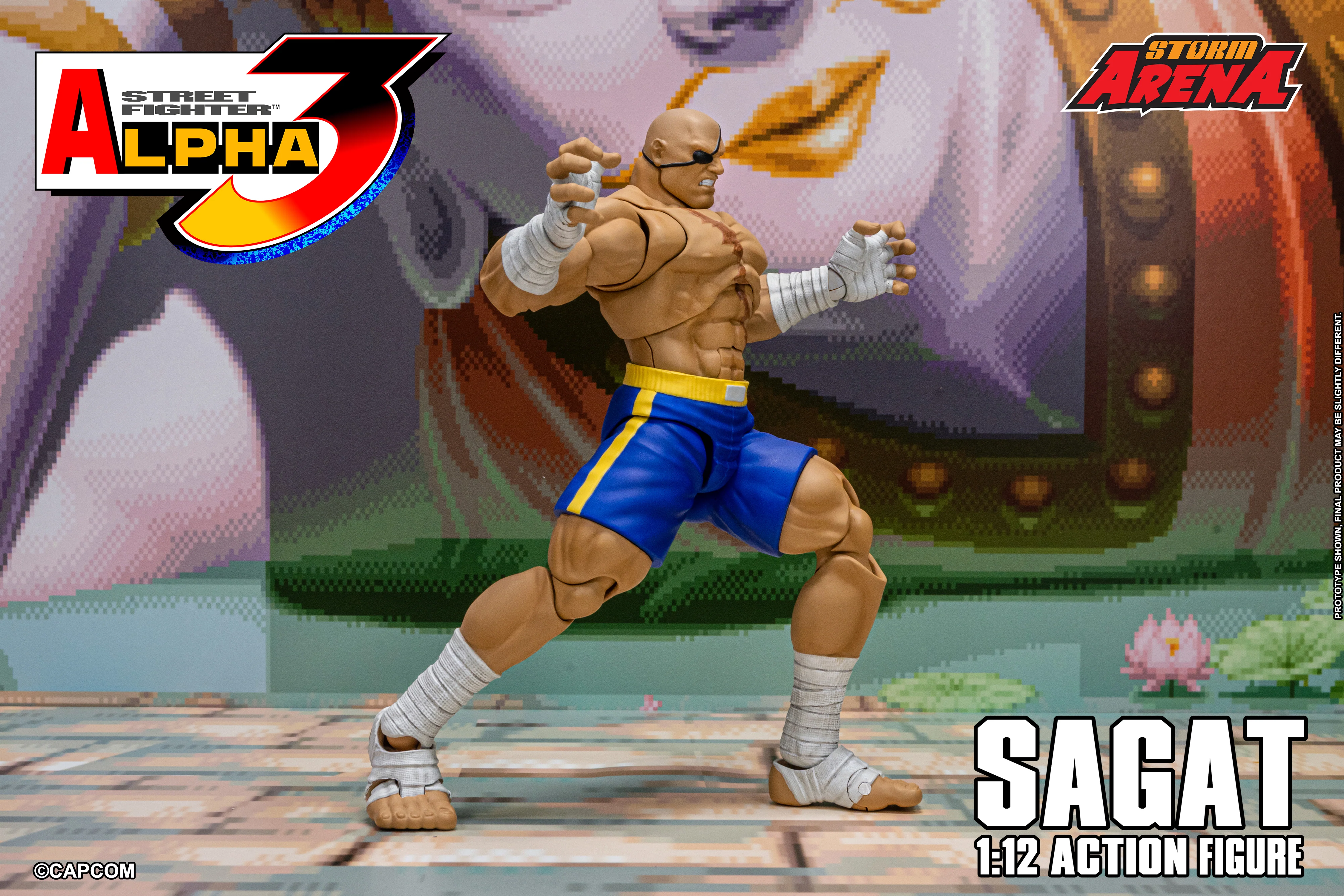 SAGAT - Street Fighter Alpha 3 "STORM ARENA" 1/12 SCALE - Image 17