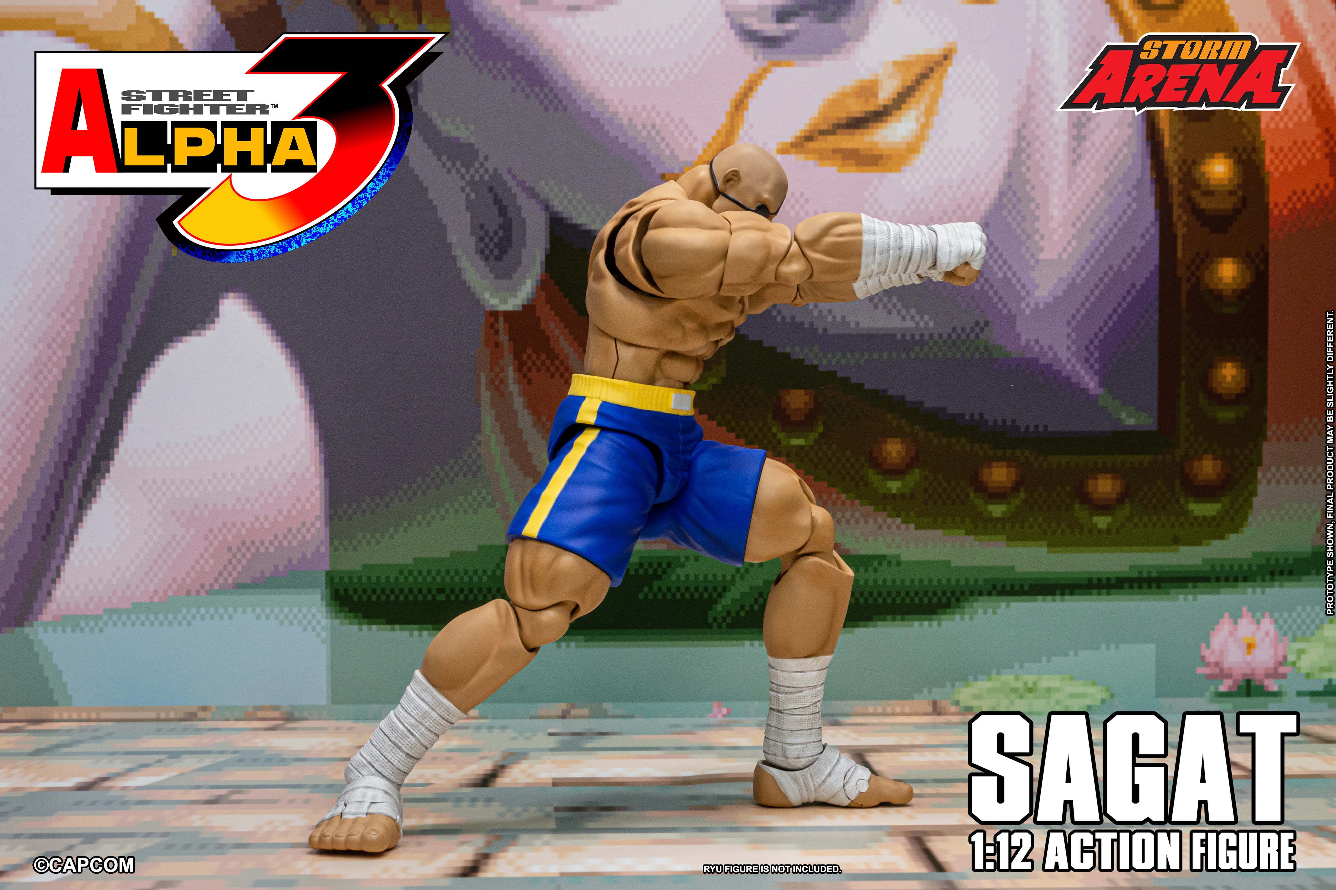 SAGAT - Street Fighter Alpha 3 "STORM ARENA" 1/12 SCALE - Image 18