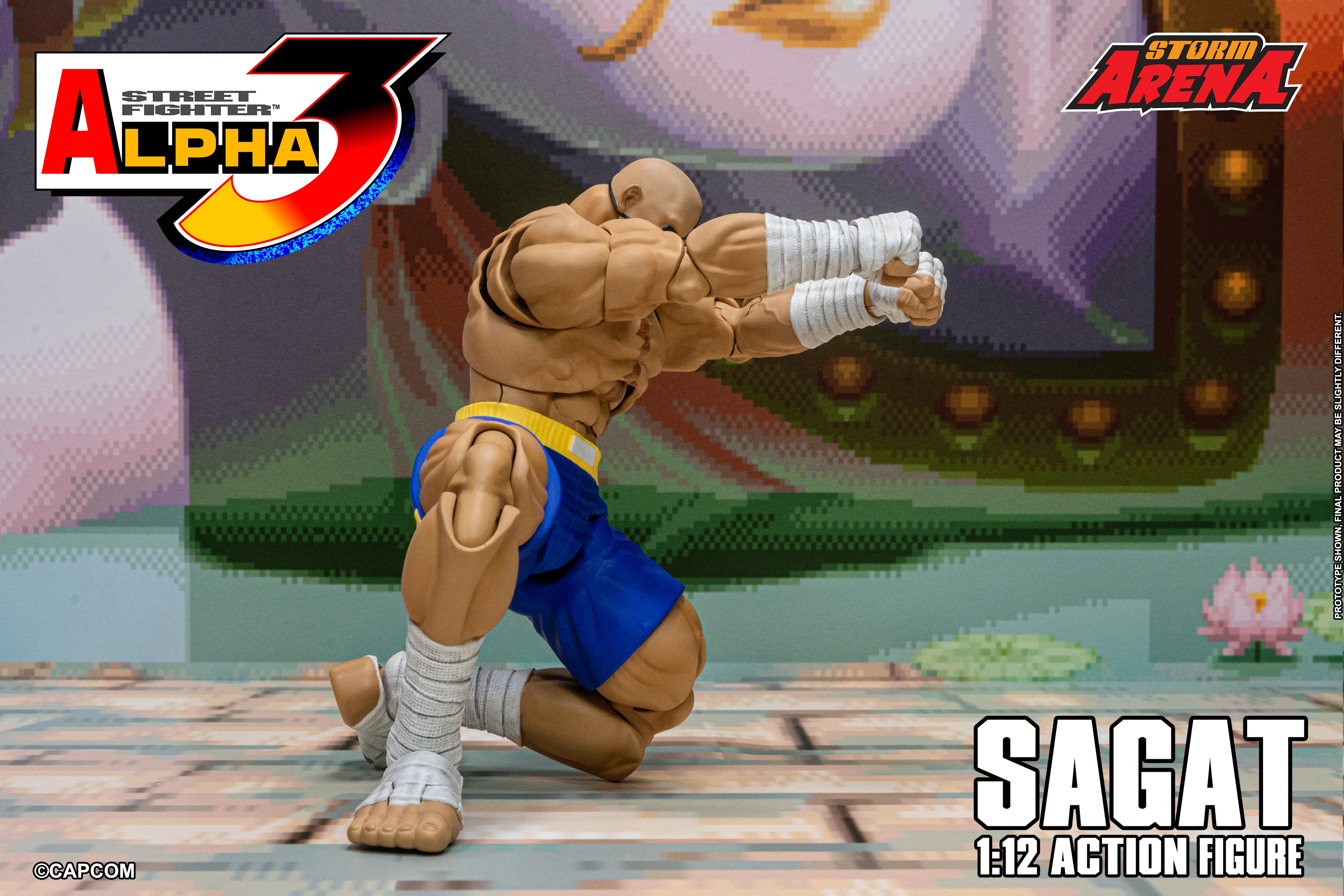 SAGAT - Street Fighter Alpha 3 "STORM ARENA" 1/12 SCALE - Image 19
