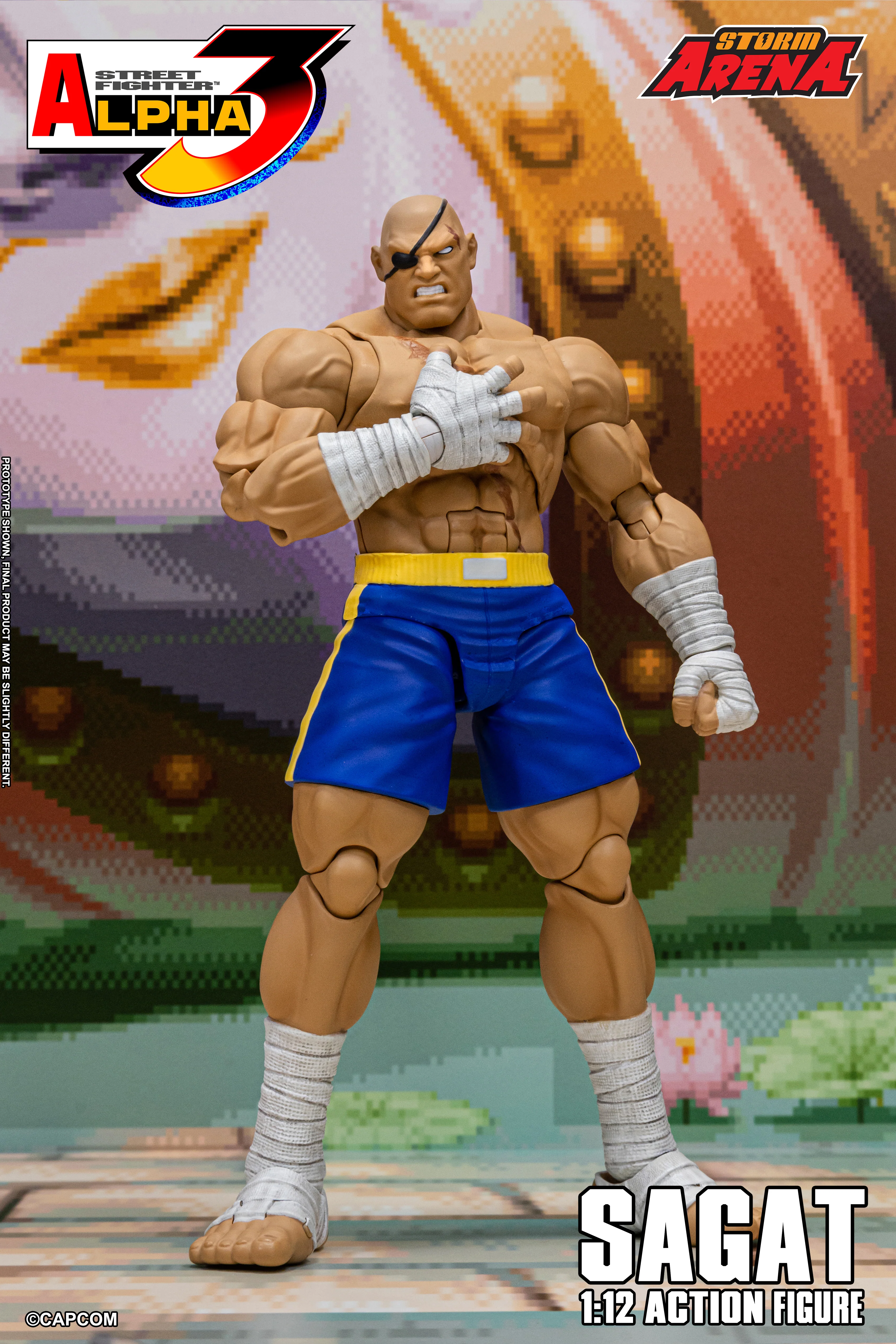 SAGAT - Street Fighter Alpha 3 "STORM ARENA" 1/12 SCALE - Image 23