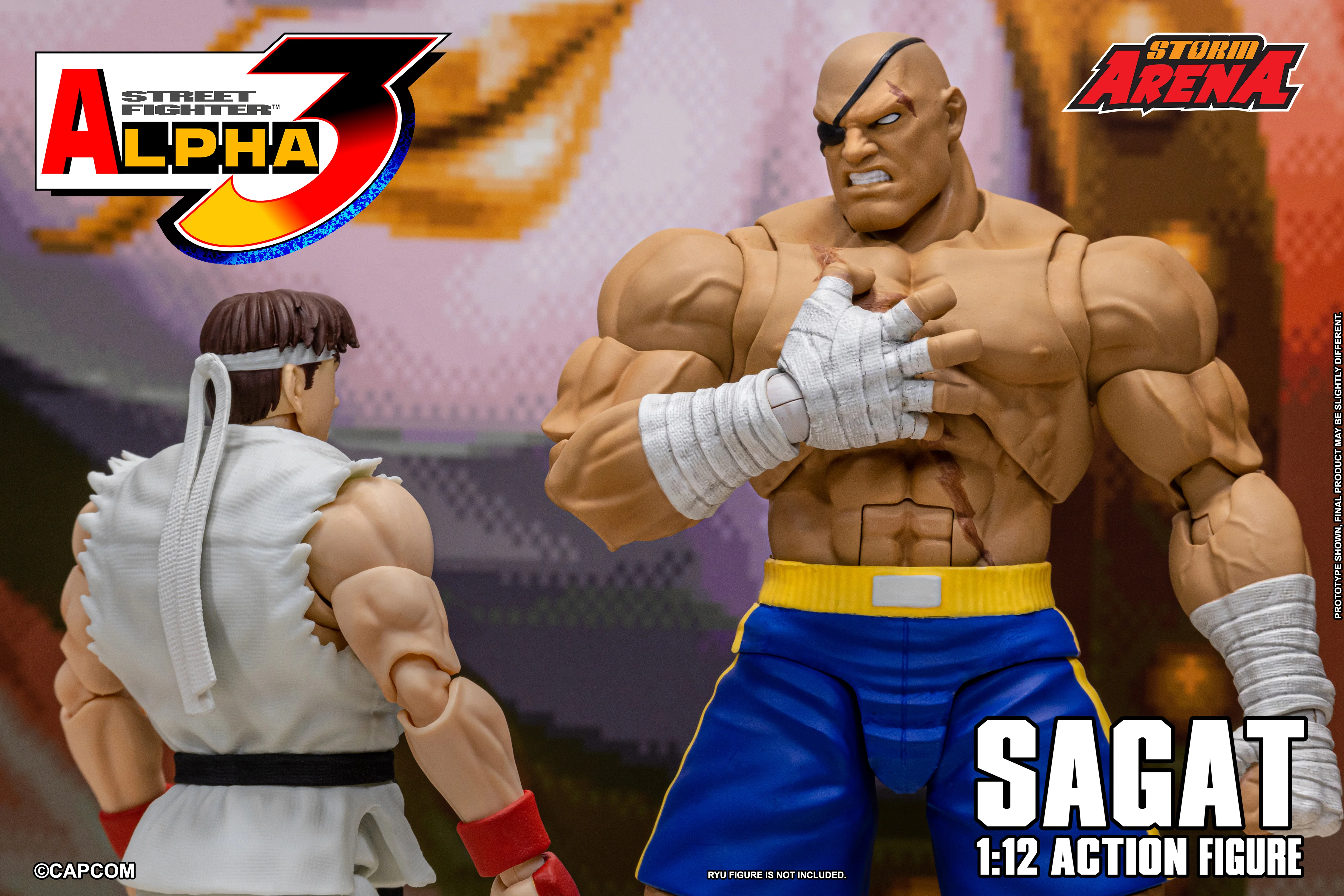 SAGAT - Street Fighter Alpha 3 "STORM ARENA" 1/12 SCALE - Image 24