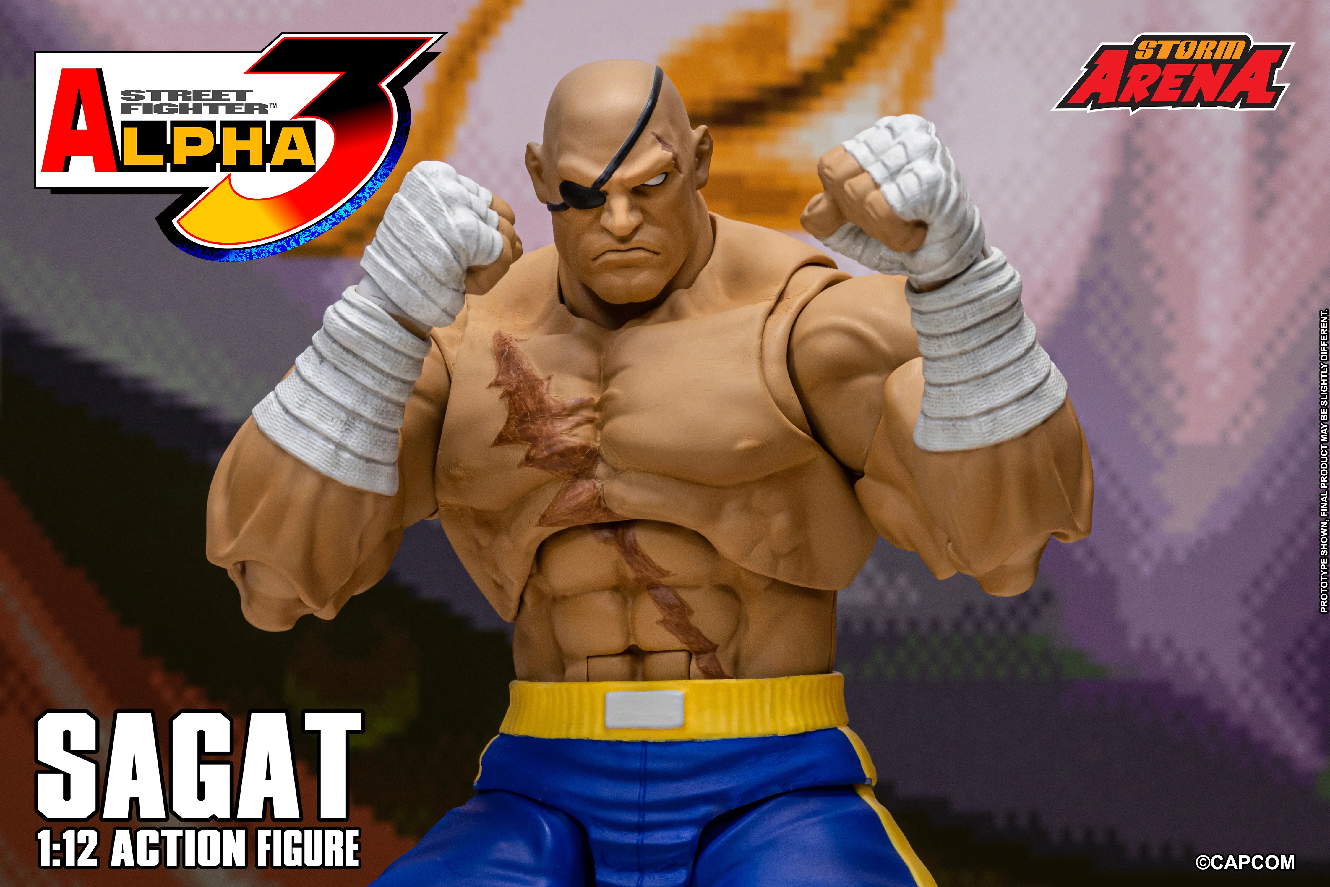 SAGAT - Street Fighter Alpha 3 "STORM ARENA" 1/12 SCALE - Image 25