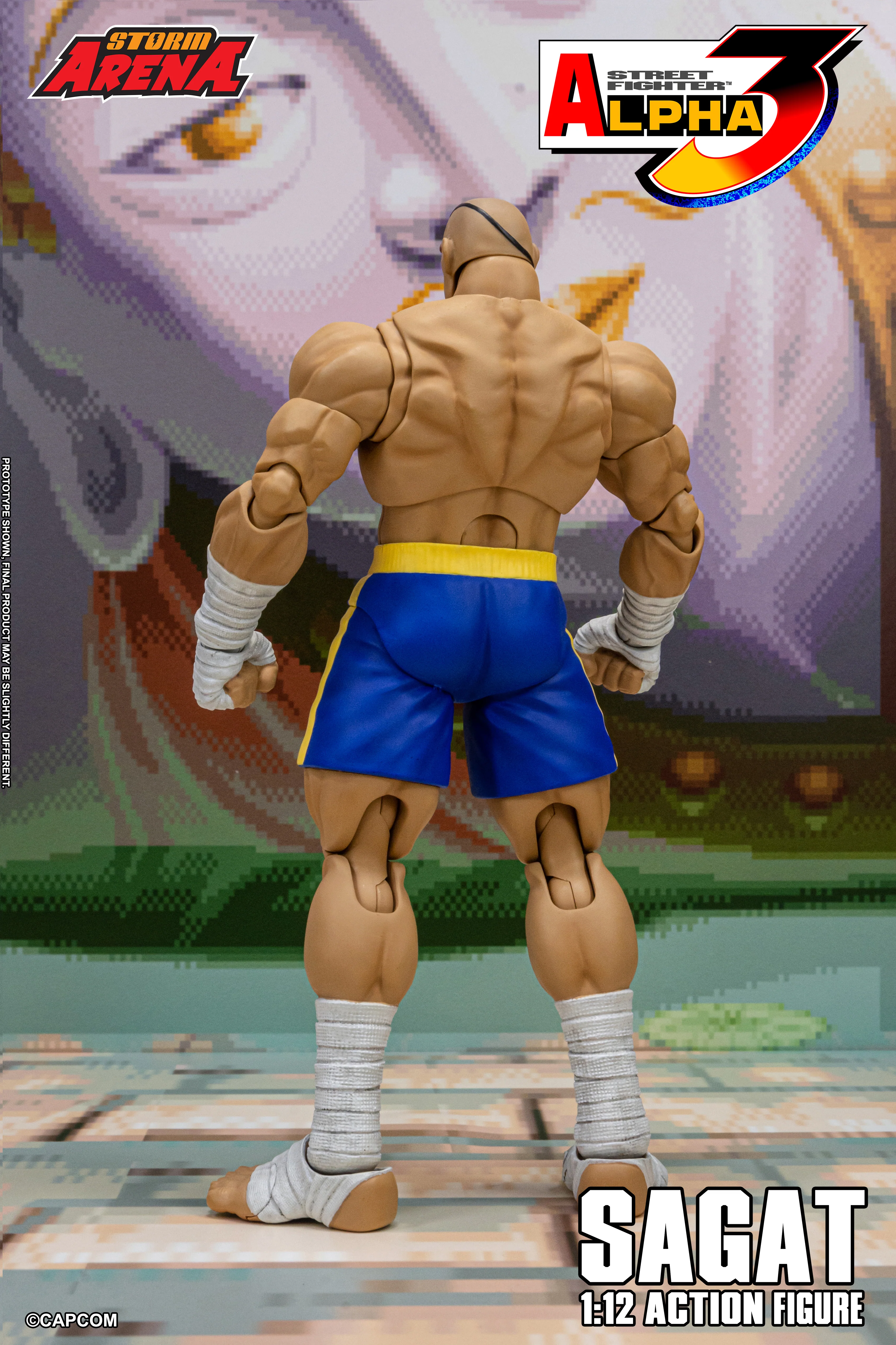SAGAT - Street Fighter Alpha 3 "STORM ARENA" 1/12 SCALE - Image 6