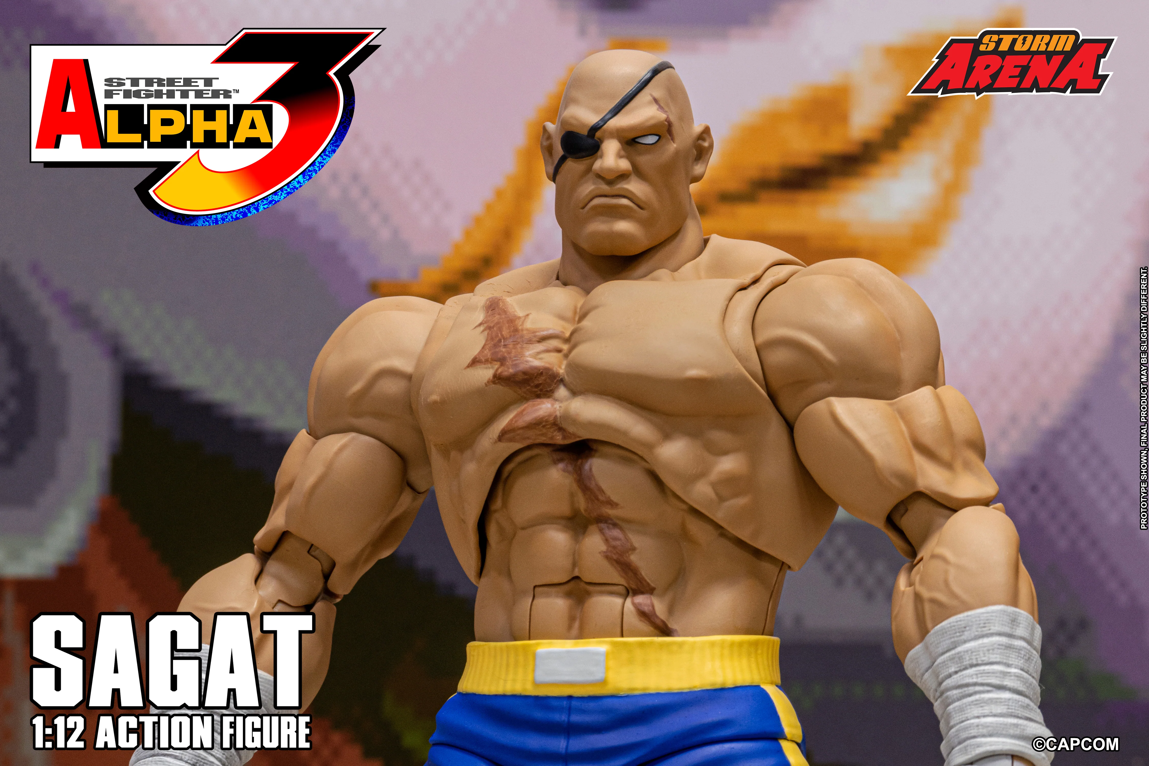 SAGAT - Street Fighter Alpha 3 "STORM ARENA" 1/12 SCALE - Image 8